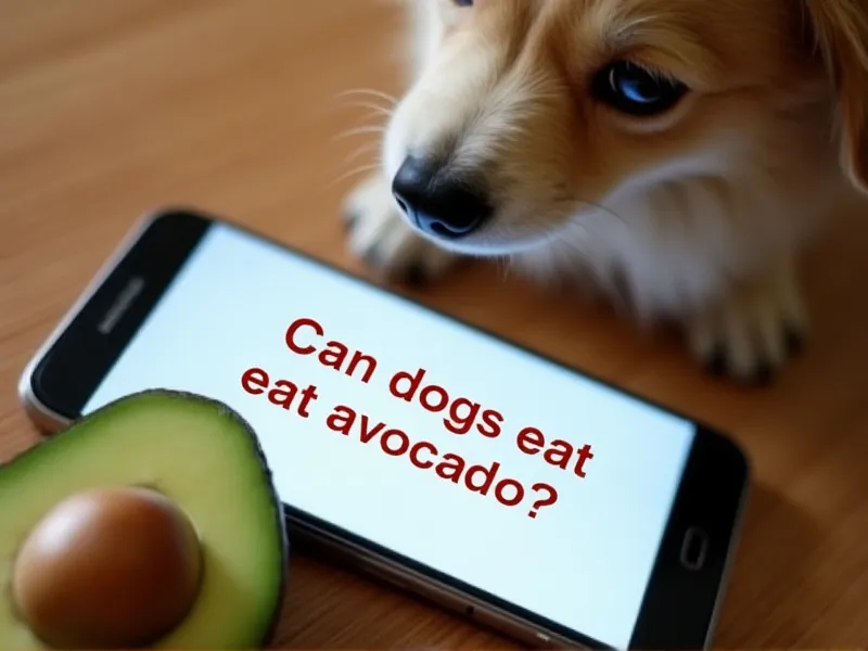 can dogs eat avocado reddit