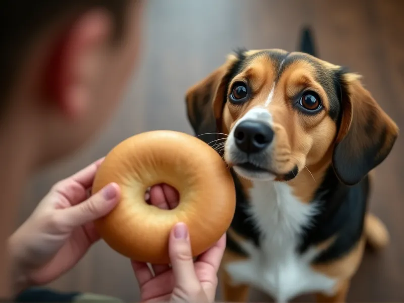 can dogs eat bagel